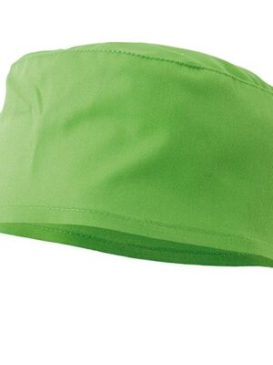 Gorro Sanitario